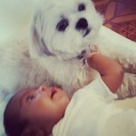 10375921_10155415448435061_6469181002101160876_n