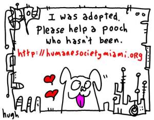 10649584_10154584478105061_7278830664345500838_n